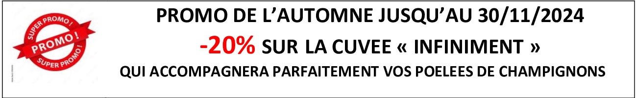 PROMO DE L AUTOMNE